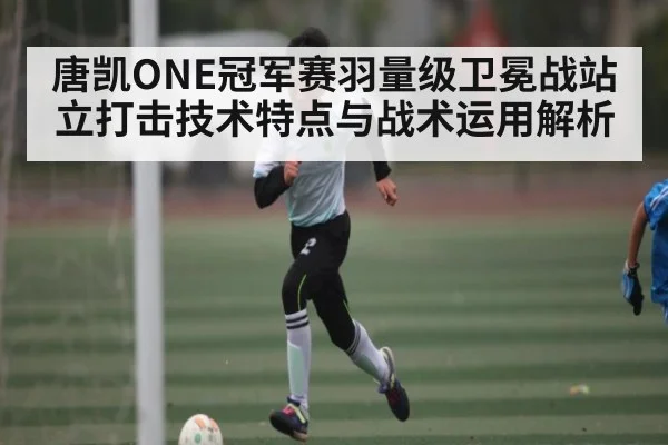 唐凯ONE冠军赛羽量级卫冕战站立打击技术特点与战术运用解析